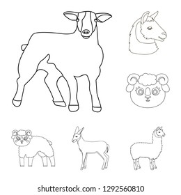 Vector illustration of sheep and goat icon. Set of sheep and happy  vector icon for stock.