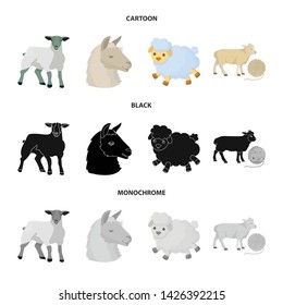 Vector illustration of sheep and goat icon. Collection of sheep and happy vector icon for stock.