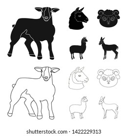 Vector illustration of sheep and goat logo. Set of sheep and happy  stock vector illustration.