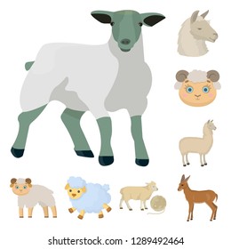 Vector illustration of sheep and goat sign. Collection of sheep and happy  stock symbol for web.
