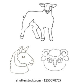 Vector illustration of sheep and goat symbol. Collection of sheep and happy  stock symbol for web.