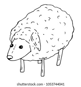 Vector illustration of a sheep, a ram. Hand drawn sheep.
