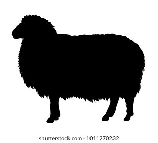 Vector illustration of sheep silhouette