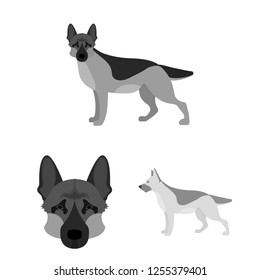 Vector illustration of  and sheepdog logo. Collection of  and german vector icon for stock.