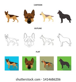 Vector illustration of sheepdog and sheltie icon. Collection of sheepdog and shepherd stock symbol for web.