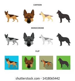 Vector illustration of sheepdog and sheltie icon. Collection of sheepdog and shepherd stock symbol for web.