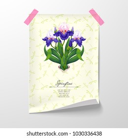 Vector illustration. Sheet of paper tape to the wall. Iris flowers and buds. Dragonflies on backdrop.