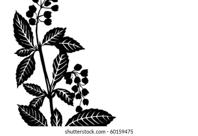 vector illustration sheet plants on white background