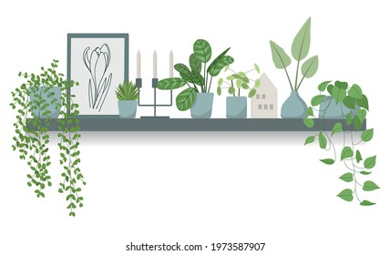 Vector illustration of a shelf with houseplants and decor items