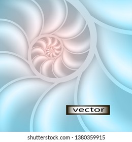 Vector illustration. Shell, inside a twisted shell structure bulkheads, camera, cross section, cut along