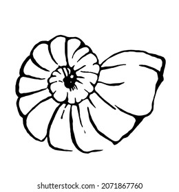 Vector Illustration. Shell on black background