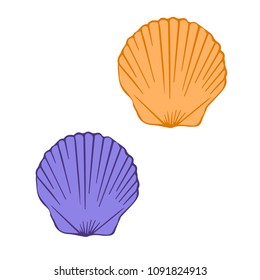 A vector illustration of shells isolate on white in two options