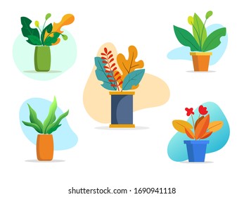 Vector - Vector illustration. Shelves with plants and vases of flowers. The elements for graphic design. Flat style.
