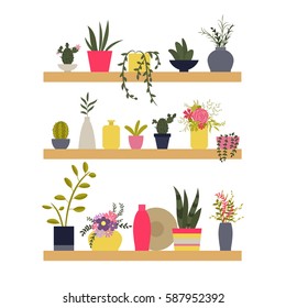 Vector illustration. Shelves with plants and vases of flowers. The elements for graphic design. Flat style.