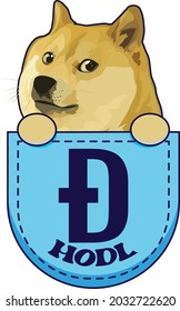 Vector illustration of the Shiba Inu Meme Dog in a pocket with the Doge Coin Symbol and the Hodl phrase