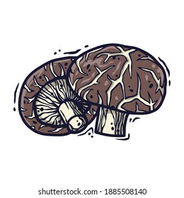 Vector illustration of shiitake. Autumn mushroom picking for vegan food and cooking design