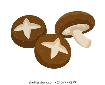 Vector illustration of shiitake mushroom