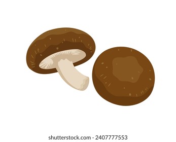 Ilustración vectorial del hongo shiitake