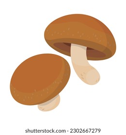 Vector illustration of shiitake mushrooms.