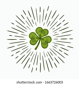 Vector illustration of shining trefoil clover in vintage engraving style.