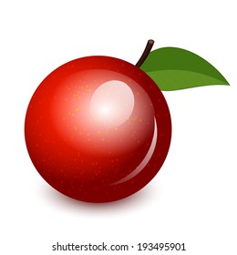 Vector illustration of shiny apple