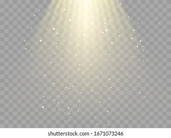 Vector illustration. Shiny rays of light isolated on  transparent background for poster