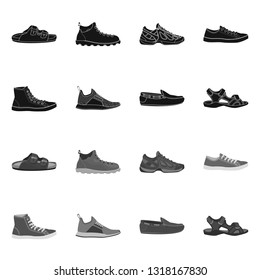Vector illustration of shoe and footwear sign. Set of shoe and foot vector icon for stock.