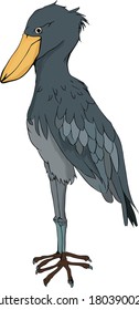 Vector illustration of shoebill with realistic touch