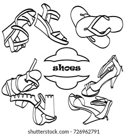 Vector illustration shoes. Women's shoes. Fashionable, elegant and for every day.