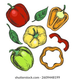 Vector illustration showcasing a collection of colorful bell peppers, including whole and sliced pieces. Includes red, yellow, and green peppers, along with leaves for added detail.