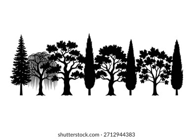 Una Ilustración vectorial que muestra una colección diversa de siluetas de árboles. La Imagen muestra una línea Horizontal de varias especies de árboles representadas en negro sólido contra un fondo blanco limpio. La colección incluye diferentes Formas de árboles, como un árbol alto de coníferas, un sauce llorón con ramas caídas, árboles caducifolios de hoja ancha y cipreses altos y delgados. Este elemento gráfico versátil es adecuado para proyectos de diseño de paisajes, visualizaciones arquitectónicas o como iconos aislados para diversos fines creativos.