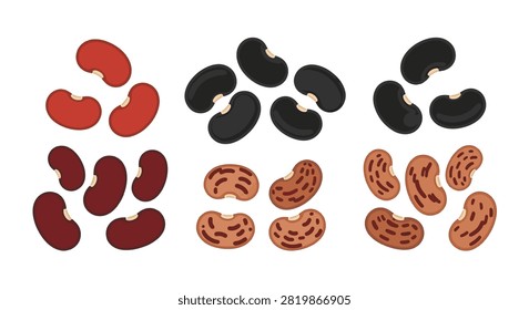 Vector illustration showcasing multiple varieties of dried beans including red kidney beans, black beans, and speckled pinto beans isolated on a plain white background for culinary design.
