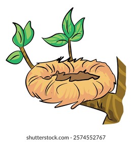 Vector illustration showing bird nest