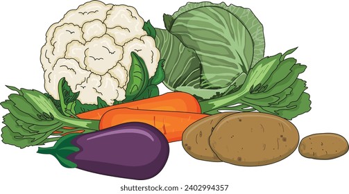 Vector illustration showing brinjal, cauliflower, potato, carrot