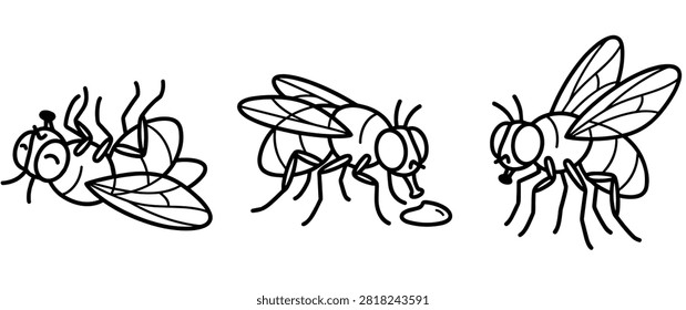 Vector illustration showing common house fly behavior including flying eating and upside down. Minimalist hand drawn pest insect sketches on white.