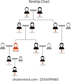 Vector illustration showing degree of kinship in family tree, family tree, and kinship tree