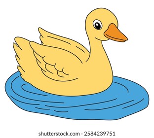 Vector illustration showing duck swimming 