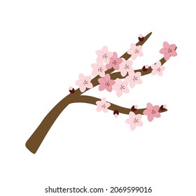 A vector illustration showing flowers on the branches of cherry blossoms.