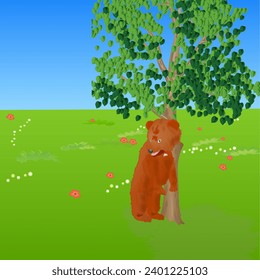 Vector illustration showing a little bear standing at shelter of a tree in a heat summer day. It got up in two paws. Realistic style vector illustration.