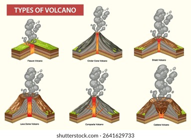 Vector illustration showing six types of volcanoes with labeled cross-sections, highlighting their unique structures and eruption styles
