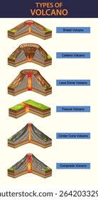 Vector illustration showing six volcano types with labels. Detailed cross-sections highlight unique geological features and structures