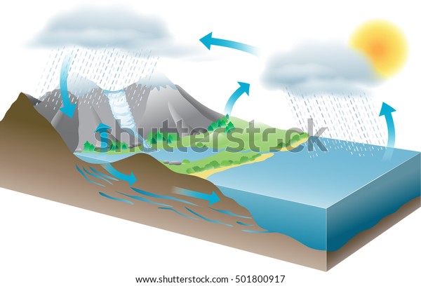 a vector\
illustration showing water\
cycle