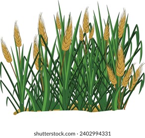 Vector illustration showing wheat plants in a field