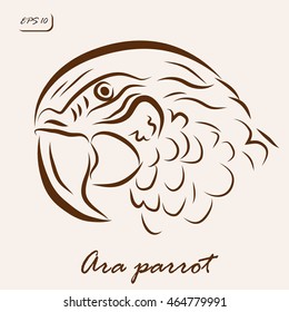 Vector illustration. Illustration shows a Ara parrot