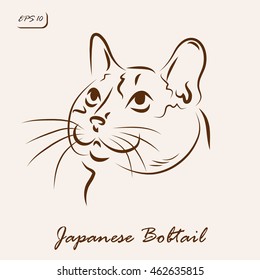Vector illustration. Illustration shows a cat breed Japanese Bobtail