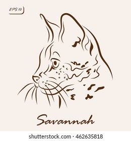 Vector illustration. Illustration shows a cat breed Savannah