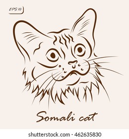 Vector illustration. Illustration shows a cat breed Somali cat