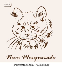 Vector illustration. Illustration shows a cat breed Neva Masquerade