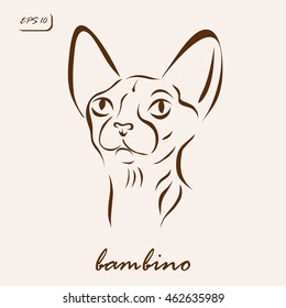 Vector illustration. Illustration shows a cat breed Bambino