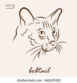 Vector illustration. Illustration shows a cat breed Bobtail